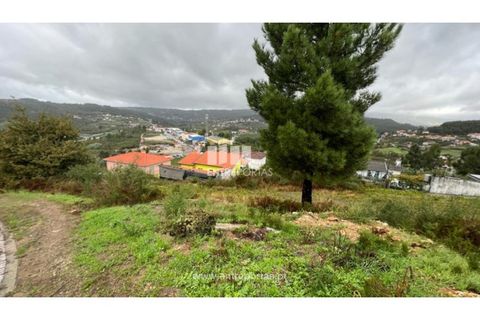Terra a Ancede e Ribadouro, Porto, Ancede e Ribadouro - € 25.000 | Ref: MC04518 - foto 27