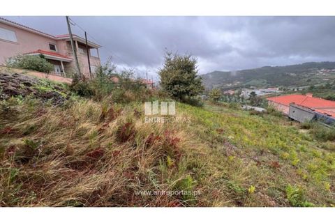 Terra a Ancede e Ribadouro, Porto, Ancede e Ribadouro - € 25.000 | Ref: MC04518 - foto 29