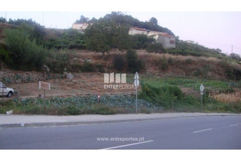 Helårsgrund i Baiao, Porto, Baiao - € 75.000 | Ref: MC04540 - foto 2