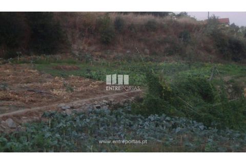 Helårsgrund i Baiao, Porto, Baiao - € 75.000 | Ref: MC04540 - foto 3