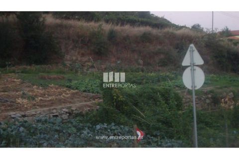 Helårsgrund i Baiao, Porto, Baiao - € 75.000 | Ref: MC04540 - foto 4