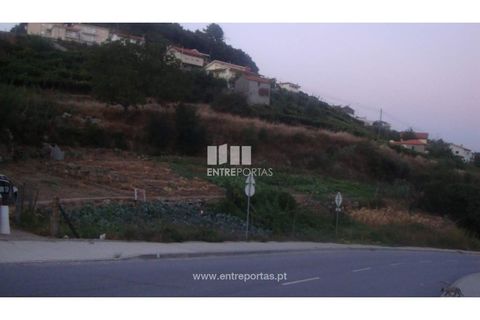 Helårsgrund i Baiao, Porto, Baiao - € 75.000 | Ref: MC04540 - foto 5