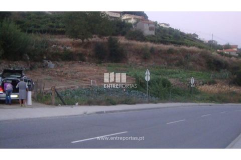 Helårsgrund i Baiao, Porto, Baiao - € 75.000 | Ref: MC04540 - foto 6