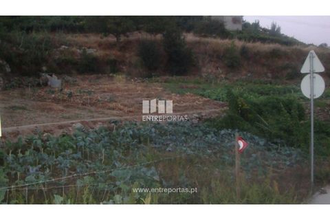 Helårsgrund i Baiao, Porto, Baiao - € 75.000 | Ref: MC04540 - foto 7