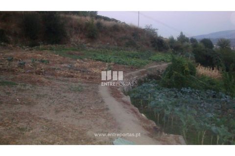 Helårsgrund i Baiao, Porto, Baiao - € 75.000 | Ref: MC04540 - foto 8