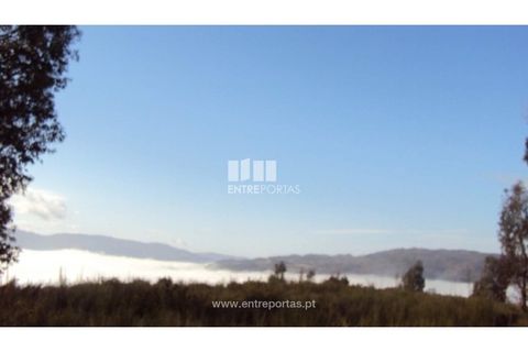 Helårsgrund i Ancede e Ribadouro, Porto, Ancede e Ribadouro - € 57.000 | Ref: MC04590 - foto 2