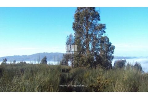 Helårsgrund i Ancede e Ribadouro, Porto, Ancede e Ribadouro - € 57.000 | Ref: MC04590 - foto 3