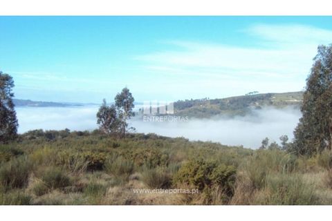 Helårsgrund i Ancede e Ribadouro, Porto, Ancede e Ribadouro - € 57.000 | Ref: MC04590 - foto 4