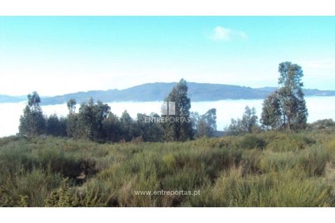 Helårsgrund i Ancede e Ribadouro, Porto, Ancede e Ribadouro - € 57.000 | Ref: MC04590 - foto 5