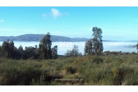 Helårsgrund i Ancede e Ribadouro, Porto, Ancede e Ribadouro - € 57.000 | Ref: MC04590 - foto 6