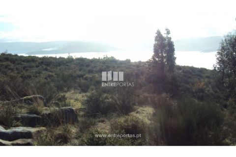 Helårsgrund i Ancede e Ribadouro, Porto, Ancede e Ribadouro - € 57.000 | Ref: MC04590 - foto 7