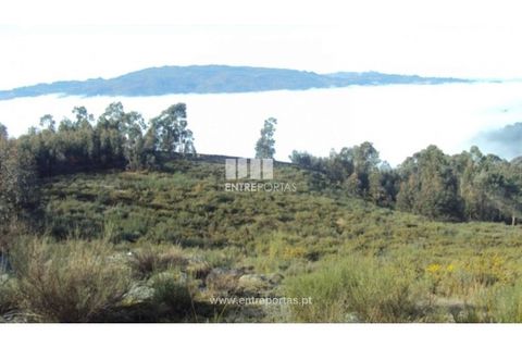 Helårsgrund i Ancede e Ribadouro, Porto, Ancede e Ribadouro - € 57.000 | Ref: MC04590 - foto 8