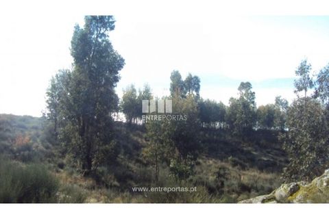 Helårsgrund i Ancede e Ribadouro, Porto, Ancede e Ribadouro - € 57.000 | Ref: MC04590 - foto 9