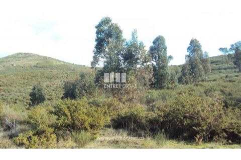 Helårsgrund i Ancede e Ribadouro, Porto, Ancede e Ribadouro - € 57.000 | Ref: MC04590 - foto 10