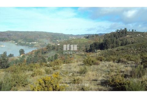 Helårsgrund i Ancede e Ribadouro, Porto, Ancede e Ribadouro - € 57.000 | Ref: MC04590 - foto 11