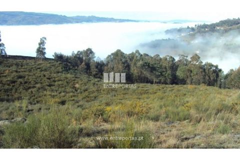 Helårsgrund i Ancede e Ribadouro, Porto, Ancede e Ribadouro - € 57.000 | Ref: MC04590 - foto 12