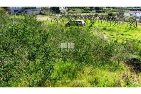 Tomt i Ancede e Ribadouro, Porto, Ancede e Ribadouro - € 94 500 | Ref: MC05110 - foto 4