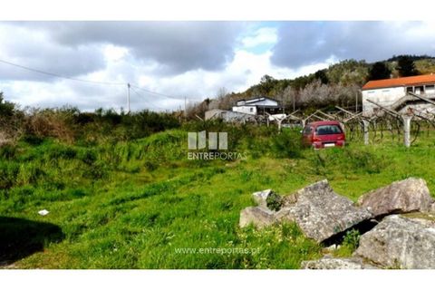 Tomt i Ancede e Ribadouro, Porto, Ancede e Ribadouro - € 94 500 | Ref: MC05110 - foto 11