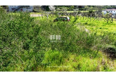 Tomt i Ancede e Ribadouro, Porto, Ancede e Ribadouro - € 94 500 | Ref: MC05110 - foto 19