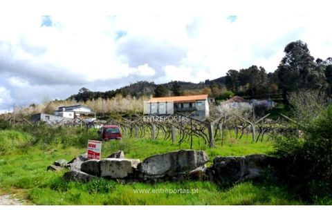 Tomt i Ancede e Ribadouro, Porto, Ancede e Ribadouro - € 94 500 | Ref: MC05110 - foto 20