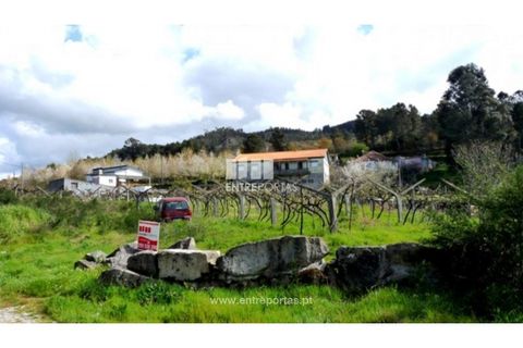Tomt i Ancede e Ribadouro, Porto, Ancede e Ribadouro - € 94 500 | Ref: MC05110 - foto 25