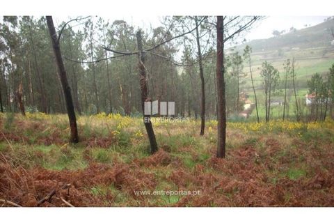 Grond in Ancede e Ribadouro, Porto, Ancede e Ribadouro - € 42.000 | Ref: MC04929 - foto 2
