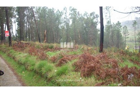 Grond in Ancede e Ribadouro, Porto, Ancede e Ribadouro - € 42.000 | Ref: MC04929 - foto 4