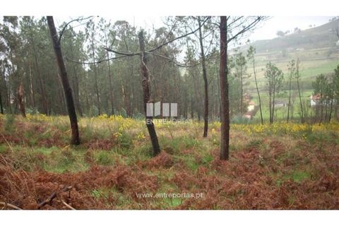 Grond in Ancede e Ribadouro, Porto, Ancede e Ribadouro - € 42.000 | Ref: MC04929 - foto 8