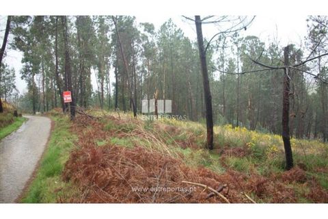 Grond in Ancede e Ribadouro, Porto, Ancede e Ribadouro - € 42.000 | Ref: MC04929 - foto 9