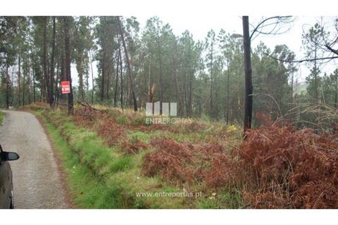 Grond in Ancede e Ribadouro, Porto, Ancede e Ribadouro - € 42.000 | Ref: MC04929 - foto 13