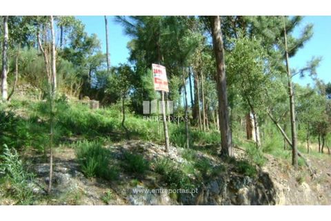 Helårsgrund i Cinfaes, Viseu, Cinfaes - € 17.000 | Ref: MC05080 - foto 3