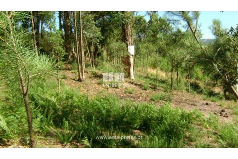 Helårsgrund i Cinfaes, Viseu, Cinfaes - € 17.000 | Ref: MC05080 - foto 10