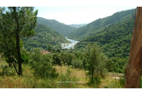 Helårsgrund i Cinfaes, Viseu, Cinfaes - € 17.000 | Ref: MC05080 - foto 11