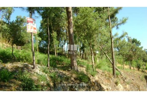 Helårsgrund i Cinfaes, Viseu, Cinfaes - € 17.000 | Ref: MC05080 - foto 12