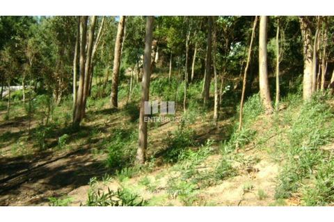 Helårsgrund i Cinfaes, Viseu, Cinfaes - € 17.000 | Ref: MC05080 - foto 29