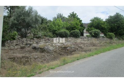 Helårsgrund i Ponte de Lima, Viana do Castelo, Ponte de Lima - € 25.000 | Ref: VCC10205 - foto 6