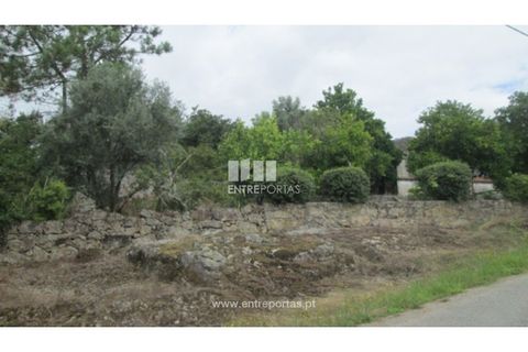 Helårsgrund i Ponte de Lima, Viana do Castelo, Ponte de Lima - € 25.000 | Ref: VCC10205 - foto 8