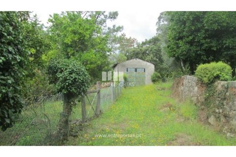 Helårsgrund i Ponte de Lima, Viana do Castelo, Ponte de Lima - € 25.000 | Ref: VCC10205 - foto 14