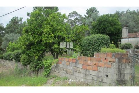 Helårsgrund i Ponte de Lima, Viana do Castelo, Ponte de Lima - € 25.000 | Ref: VCC10205 - foto 16