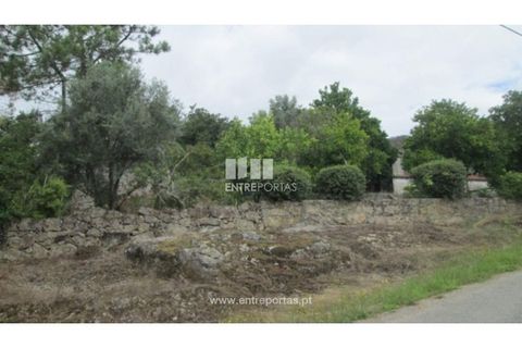 Helårsgrund i Ponte de Lima, Viana do Castelo, Ponte de Lima - € 25.000 | Ref: VCC10205 - foto 3
