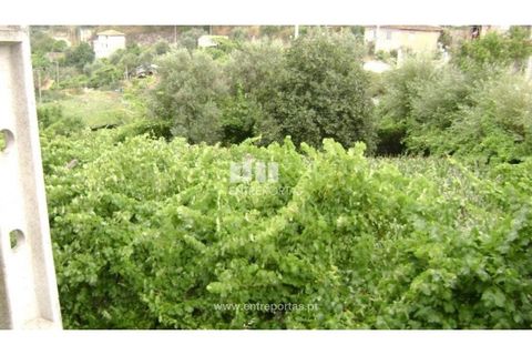 Helårsgrund i Baiao, Porto, Baiao - € 27.500 | Ref: MC05353 - foto 2