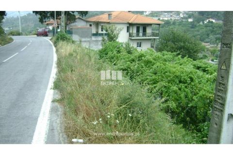 Helårsgrund i Baiao, Porto, Baiao - € 27.500 | Ref: MC05353 - foto 3
