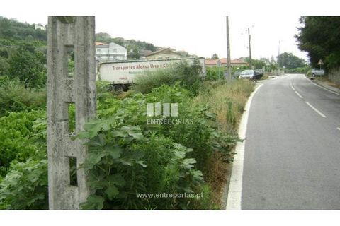 Helårsgrund i Baiao, Porto, Baiao - € 27.500 | Ref: MC05353 - foto 5