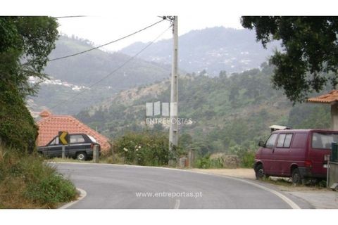Helårsgrund i Baiao, Porto, Baiao - € 27.500 | Ref: MC05353 - foto 7