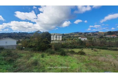 Tomt i Baiao, Porto, Baiao - € 82 000 | Ref: MC08100 - foto 3