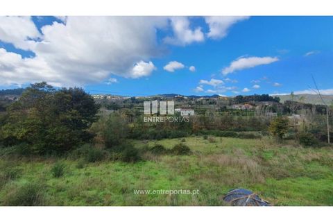 Tomt i Baiao, Porto, Baiao - € 82 000 | Ref: MC08100 - foto 4