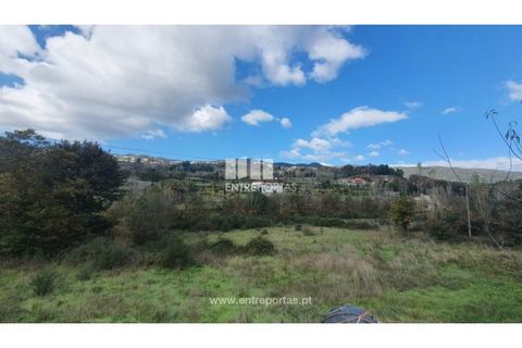 Tomt i Baiao, Porto, Baiao - € 82 000 | Ref: MC08100 - foto 6