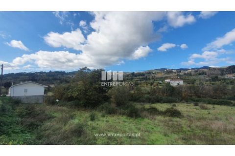 Tomt i Baiao, Porto, Baiao - € 82 000 | Ref: MC08100 - foto 8