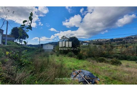 Tomt i Baiao, Porto, Baiao - € 82 000 | Ref: MC08100 - foto 9