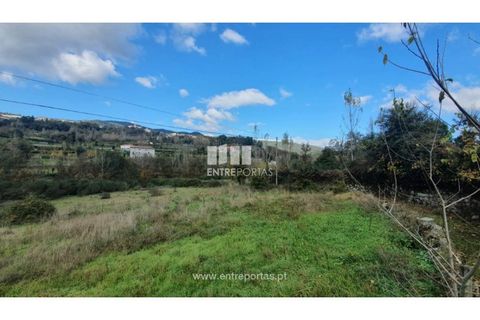 Tomt i Baiao, Porto, Baiao - € 82 000 | Ref: MC08100 - foto 10